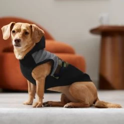 Frisco Army Camo Dog & Cat Hoodie -Pet Cat Supplies Shop 368774 PT7. AC SS1800 V1664994217