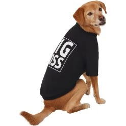 Frisco Big Boss Dog & Cat T-Shirt -Pet Cat Supplies Shop 368782 PT4. AC SS1800 V1669100910