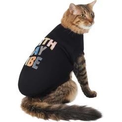 Frisco Birthday Vibe Dog & Cat T-Shirt -Pet Cat Supplies Shop 368790 PT2. AC SS1800 V1669100911