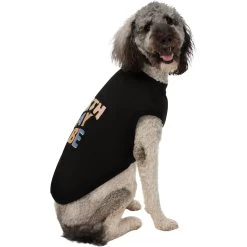 Frisco Birthday Vibe Dog & Cat T-Shirt -Pet Cat Supplies Shop 368790 PT4. AC SS1800 V1669100229