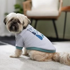 Frisco It's My Birth Day Dog & Cat T-Shirt -Pet Cat Supplies Shop 368808 PT7. AC SS1800 V1664992107