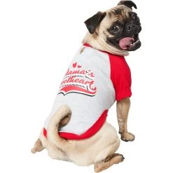 Frisco Mama's Sweetheart Dog & Cat T-Shirt 13 Frisco Mama's Sweetheart Dog & Cat T-Shirt -Pet Cat Supplies Shop 371063 PT2. AC SS1800 V1701797003