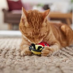 Frisco Valentine Jammin' Ladybug Plush Cat Toy With Catnip -Pet Cat Supplies Shop 371081 PT3. AC SS1800 V1668736252