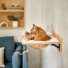 Frisco Acrylic Bowl Wall Mounted Cat Wall Shelf 1 Frisco Acrylic Bowl Wall Mounted Cat Wall Shelf -Pet Cat Supplies Shop 373439 MAIN. AC SS1800 V1673014135