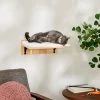 Frisco Cushioned Wall Mounted Cat Wall Shelf -Pet Cat Supplies Shop 373443 MAIN. AC SS1800 V1673025637