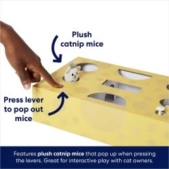 Frisco Cheese Interactive Maze Cardboard Cat Toy Box With Catnip -Pet Cat Supplies Shop 506106 PT3. AC SS1800 V1671551754