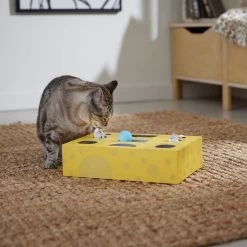 Frisco Cheese Interactive Maze Cardboard Cat Toy Box With Catnip -Pet Cat Supplies Shop 506106 PT4. AC SS1800 V1669148185