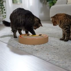 Frisco Interactive Maze & Scratch Cardboard Cat Toy With Catnip, Pizza -Pet Cat Supplies Shop 506154 PT4. AC SS1800 V1669148129