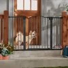 Frisco Outdoor Steel Arch Extra Wide Auto-Close Dog Gate -Pet Cat Supplies Shop 507118 MAIN. AC SS1800 V1668737294
