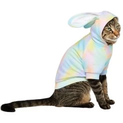 Frisco Wash Effect Bunny Ear Hoodie