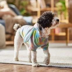 Frisco Wash Effect Bunny Ear Hoodie -Pet Cat Supplies Shop 521374 PT7. AC SS1800 V1699653757