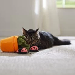 Frisco Spring Potted Plant And Ladybugs Interactive Plush Cat Toy With Catnip 10 Frisco Spring Potted Plant And Ladybugs Interactive Plush Cat Toy With Catnip -Pet Cat Supplies Shop 541542 PT3. AC SS1800 V1671814448