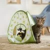 Frisco Spring Daisy Pop-Up Tent Cat Toy With Catnip 1 Frisco Spring Daisy Pop-Up Tent Cat Toy With Catnip -Pet Cat Supplies Shop 541574 MAIN. AC SS1800 V1671814454