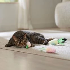 Frisco Easter Carrot Plush Cat Toy With Catnip 8 Frisco Easter Carrot Plush Cat Toy With Catnip -Pet Cat Supplies Shop 550470 PT4. AC SS1800 V1702500564