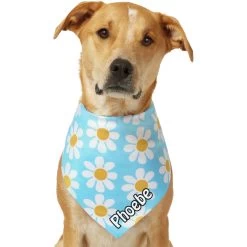 Frisco Personalized Blue Daisy Bandana -Pet Cat Supplies Shop 555206 PT7. AC SS1800 V1669839925