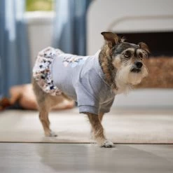 Frisco Stay Wild Dog & Cat Hoodie -Pet Cat Supplies Shop 555366 PT6. AC SS1800 V1674829061