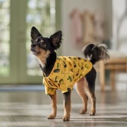 Frisco Safari Zebra Dog & Cat Shirt -Pet Cat Supplies Shop 555566 PT7. AC SS1800 V1675099388