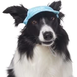 Frisco Blue Ocean Waves 30 + UPF Dog & Cat Beach Cap -Pet Cat Supplies Shop 556182 PT3. AC SS1800 V1677530963