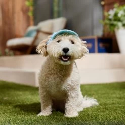 Frisco Blue Ocean Waves 30 + UPF Dog & Cat Beach Cap -Pet Cat Supplies Shop 556182 PT5. AC SS1800 V1675714092