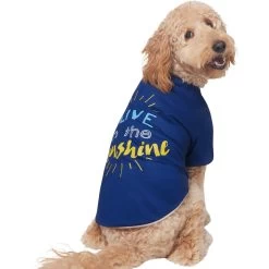 Frisco I Live In The Sunshine Dog & Cat T-Shirt -Pet Cat Supplies Shop 556222 PT3. AC SS1800 V1674829145