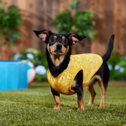 Frisco 30+ UPF Dog & Cat Beach Rash Guard 16 Frisco 30+ UPF Dog & Cat Beach Rash Guard -Pet Cat Supplies Shop 556286 PT6. AC SS1800 V1675714036