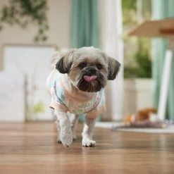 Frisco Vintage Tropical Dog & Cat Pocket T-Shirt 14 Frisco Vintage Tropical Dog & Cat Pocket T-Shirt -Pet Cat Supplies Shop 556598 PT5. AC SS1800 V1675101997