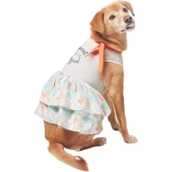 Frisco Tropical State Of Mind Dog & Cat Dress -Pet Cat Supplies Shop 556742 PT3. AC SS1800 V1675103177