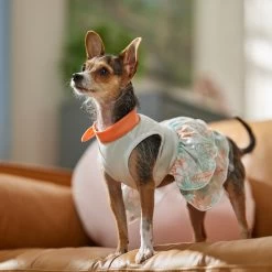Frisco Tropical State Of Mind Dog & Cat Dress -Pet Cat Supplies Shop 556742 PT5. AC SS1800 V1675101933