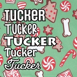 Frisco Gingerbread Treats Personalized Dog & Cat Bandana -Pet Cat Supplies Shop 564502 PT4. AC SS1800 V1660250970