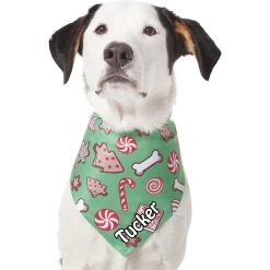 Frisco Gingerbread Treats Personalized Dog & Cat Bandana -Pet Cat Supplies Shop 564502 PT6. AC SS1800 V1660405305