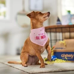 Frisco Dog & Cat Birthday Bandana -Pet Cat Supplies Shop 608206 PT5. AC SS1800 V1676643860