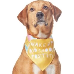 Frisco Wake Up Positive Dog & Cat Bandana -Pet Cat Supplies Shop 608230 PT3. AC SS1800 V1676643831