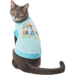 Frisco Birthday Celebration Dog & Cat T-Shirt -Pet Cat Supplies Shop 608318 PT2. AC SS1800 V1676643772