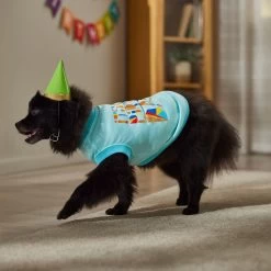 Frisco Birthday Celebration Dog & Cat T-Shirt -Pet Cat Supplies Shop 608318 PT7. AC SS1800 V1676643247