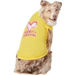 Frisco Mama's Sunshine Dog & Cat T-Shirt -Pet Cat Supplies Shop 608446 PT3. AC SS1800 V1676586071