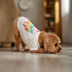 Frisco Good Vibes Only Dog & Cat T-Shirt -Pet Cat Supplies Shop 608518 PT7. AC SS1800 V1676644453