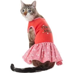 Frisco Time To Shine Dog & Cat Dress -Pet Cat Supplies Shop 608638 PT2. AC SS1800 V1676643324