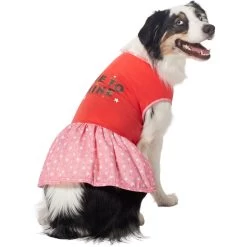 Frisco Time To Shine Dog & Cat Dress -Pet Cat Supplies Shop 608638 PT3. AC SS1800 V1676644904