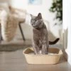 Frisco Disposable Litter Box -Pet Cat Supplies Shop 632814 MAIN. AC SS1800 V1666363798