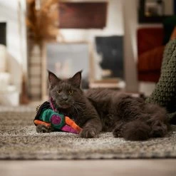 Frisco Halloween Frog In Witch Hat Plush Kicker Cat Toy With Catnip 8 Frisco Halloween Frog In Witch Hat Plush Kicker Cat Toy With Catnip -Pet Cat Supplies Shop 667942 PT3. AC SS1800 V1689355019