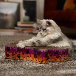 Frisco Halloween Ghost Swirl Scratcher Cat Toy With Catnip -Pet Cat Supplies Shop 668230 PT3. AC SS1800 V1689343997