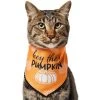 Frisco Hey There Pumpkin Dog & Cat Bandana -Pet Cat Supplies Shop 706374 MAIN. AC SS1800 V1689351106
