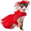 Frisco Red Ruffle Dog & Cat Dress + Headpiece -Pet Cat Supplies Shop 707286 MAIN. AC SS1800 V1689341622