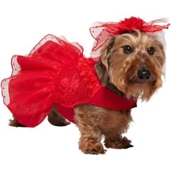 Frisco Red Ruffle Dog & Cat Dress + Headpiece -Pet Cat Supplies Shop 707286 PT2. AC SS1800 V1689355022