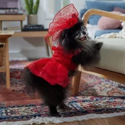 Frisco Red Ruffle Dog & Cat Dress + Headpiece -Pet Cat Supplies Shop 707286 PT7. AC SS1800 V1689351702
