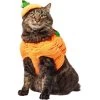 Frisco Pumpkin Ball Dog & Cat Costume 1 Frisco Pumpkin Ball Dog & Cat Costume -Pet Cat Supplies Shop 708902 MAIN. AC SS1800 V1689351821