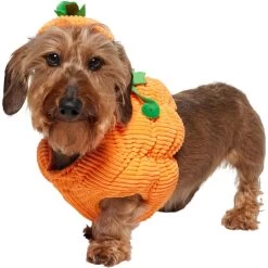 Frisco Pumpkin Ball Dog & Cat Costume -Pet Cat Supplies Shop 708902 PT2. AC SS1800 V1689351041