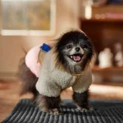 Frisco Colorblock Fleece Dog & Cat Hoodie W/ Pocket -Pet Cat Supplies Shop 718278 PT7. AC SS1800 V1692375977