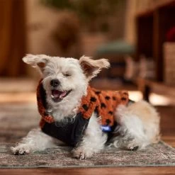 Frisco Dotted Dog & Cat Hoodie -Pet Cat Supplies Shop 718326 PT7. AC SS1800 V1692375977