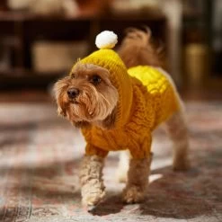 Frisco Sherpa Lined Chunky Cable Knit Dog & Cat Hooded Sweater -Pet Cat Supplies Shop 718374 PT7. AC SS1800 V1692379031